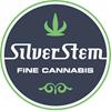 silevr stem logo 2